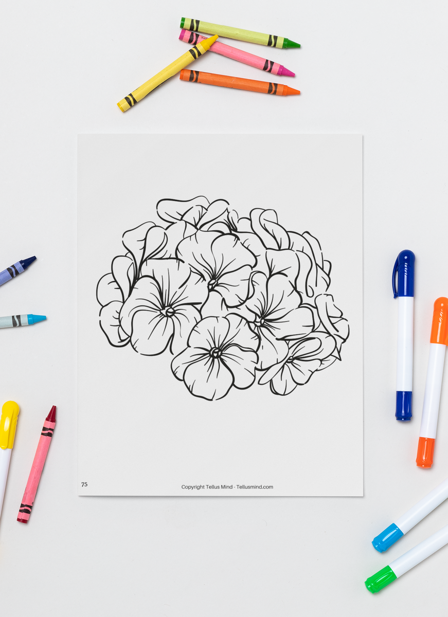 Plants and Flowers