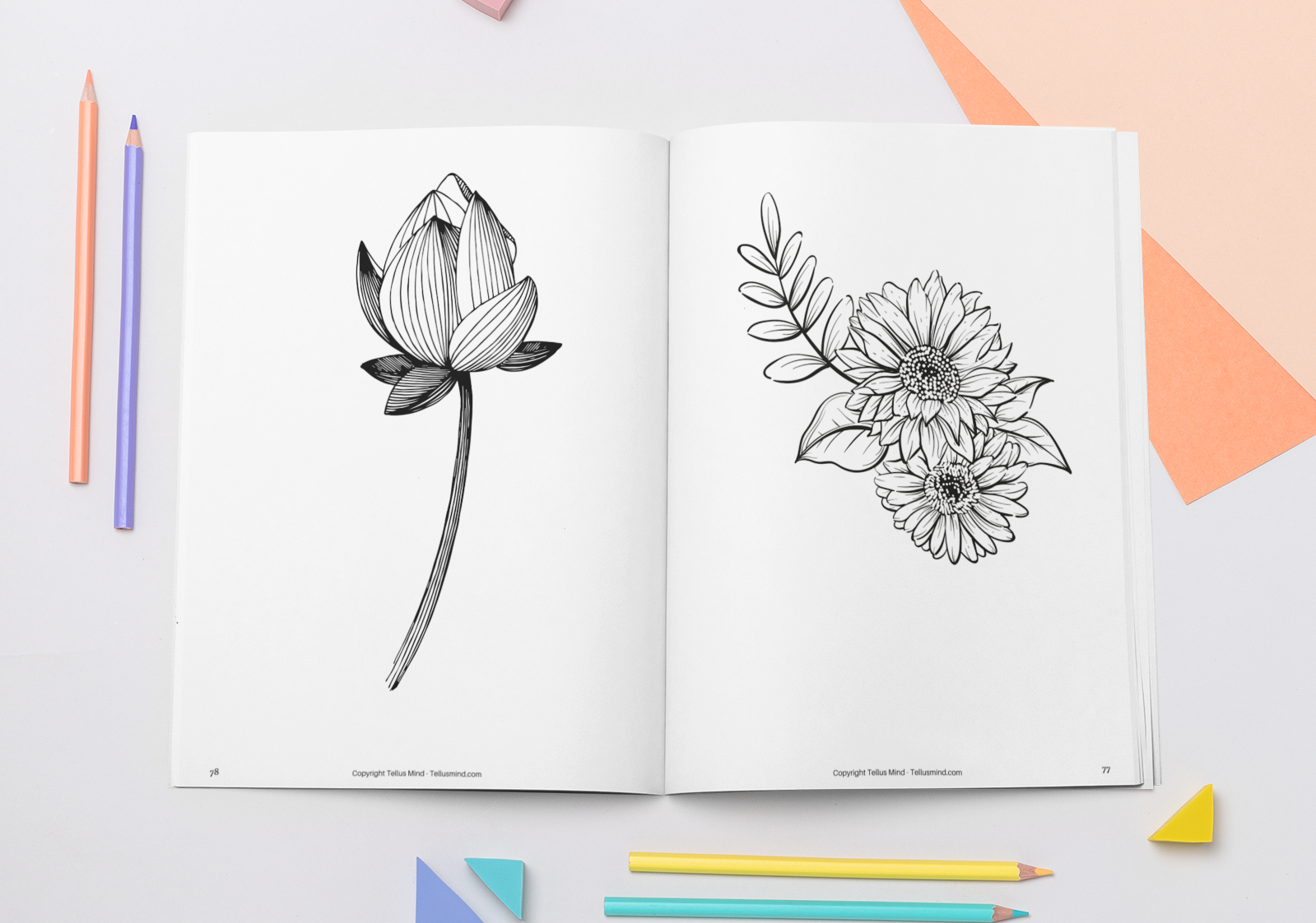 Plants and Flowers - Colouring Book